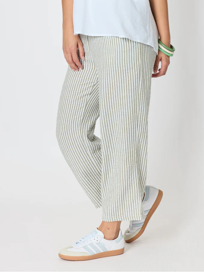 Urban Olive White Stripe pant T49602