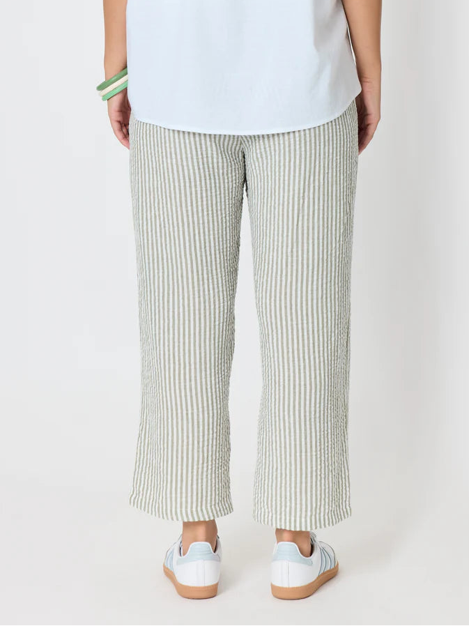 Urban Olive White Stripe pant T49602