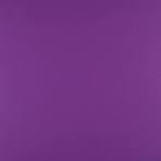 Zenza Merino Singlet Camisole 753SC