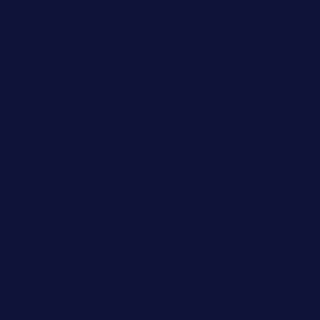 Biro Blue Extra Long Band Cami B60